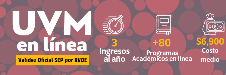 Universidades Virtuales Económicas Listado UVM